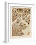 Boston Massachusetts City Street Map-Michael Tompsett-Framed Art Print