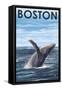 Boston, Massachusetts - Humpback Whale-Lantern Press-Framed Stretched Canvas