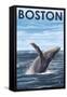 Boston, Massachusetts - Humpback Whale-Lantern Press-Framed Stretched Canvas