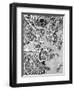 Boston Massachusetts Street Map-Michael Tompsett-Framed Art Print