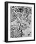 Boston Massachusetts Street Map-Michael Tompsett-Framed Art Print