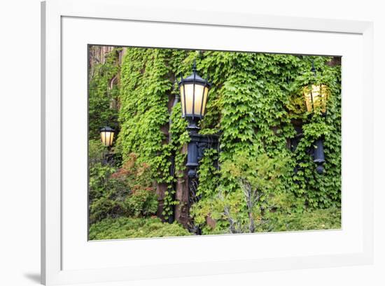 Boston, Massachusetts, USA. Street lamps with abundant foliage of historic buildings.-Brent Bergherm-Framed Premium Photographic Print