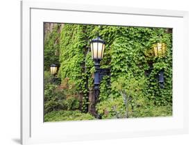 Boston, Massachusetts, USA. Street lamps with abundant foliage of historic buildings.-Brent Bergherm-Framed Premium Photographic Print