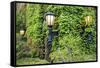 Boston, Massachusetts, USA. Street lamps with abundant foliage of historic buildings.-Brent Bergherm-Framed Stretched Canvas