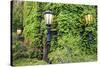 Boston, Massachusetts, USA. Street lamps with abundant foliage of historic buildings.-Brent Bergherm-Stretched Canvas