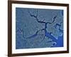 Boston, Massachusetts-Stocktrek Images-Framed Photographic Print