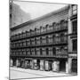 Boston Museum - 1903-null-Mounted Photo