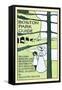 Boston Park Guide-Charles H Woodbury-Framed Stretched Canvas