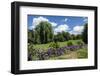 Boston Public Garden-CE Photography-Framed Photographic Print