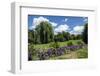 Boston Public Garden-CE Photography-Framed Photographic Print