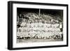 Boston Red Sox, 1916-null-Framed Giclee Print