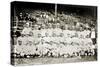 Boston Red Sox, 1916-null-Stretched Canvas