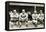 Boston Red Sox, c1916-null-Framed Stretched Canvas