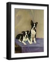 Boston's Terrier-Diana Thorne-Framed Art Print