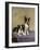 Boston's Terrier-Diana Thorne-Framed Art Print