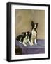 Boston's Terrier-Diana Thorne-Framed Art Print