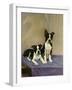 Boston's Terrier-Diana Thorne-Framed Art Print