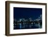 Boston Skyline 2-LSmirnov-Framed Photographic Print