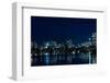 Boston Skyline 2-LSmirnov-Framed Photographic Print