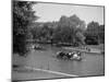 Boston Swan Boats-Carol Highsmith-Mounted Photo