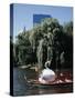 Boston Swan Boats-Carol Highsmith-Stretched Canvas