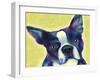 Boston Terrier 1-Marlene Watson-Framed Giclee Print