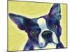 Boston Terrier 1-Marlene Watson-Mounted Giclee Print