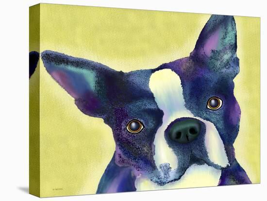 Boston Terrier 1-Marlene Watson-Stretched Canvas