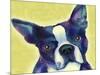 Boston Terrier 1-Marlene Watson-Mounted Giclee Print