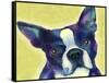 Boston Terrier 1-Marlene Watson-Framed Stretched Canvas