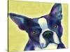 Boston Terrier 1-Marlene Watson-Stretched Canvas