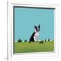 Boston Terrier, 2008-Marjorie Weiss-Framed Giclee Print