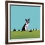 Boston Terrier, 2008-Marjorie Weiss-Framed Giclee Print