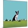 Boston Terrier, 2008-Marjorie Weiss-Mounted Giclee Print