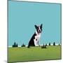 Boston Terrier, 2008-Marjorie Weiss-Mounted Giclee Print