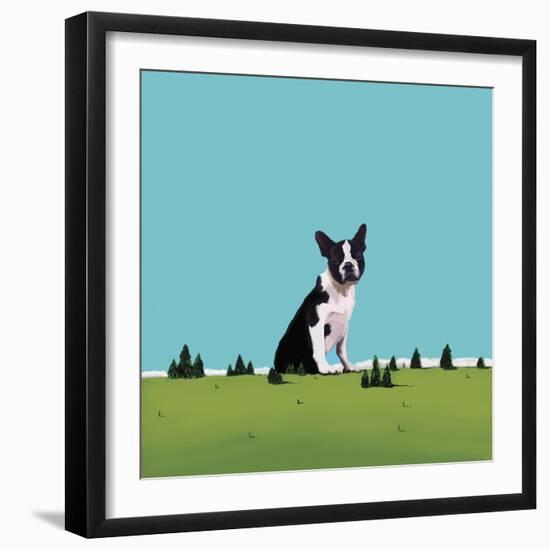 Boston Terrier, 2008-Marjorie Weiss-Framed Giclee Print