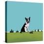 Boston Terrier, 2008-Marjorie Weiss-Stretched Canvas