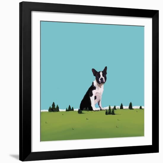 Boston Terrier, 2008-Marjorie Weiss-Framed Giclee Print