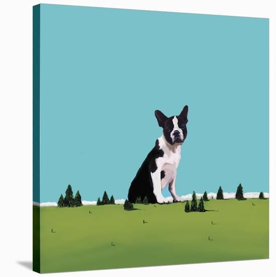 Boston Terrier, 2008-Marjorie Weiss-Stretched Canvas