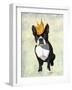 Boston Terrier and Crown-Fab Funky-Framed Art Print