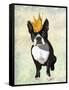 Boston Terrier and Crown-Fab Funky-Framed Stretched Canvas