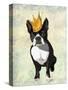 Boston Terrier and Crown-Fab Funky-Stretched Canvas