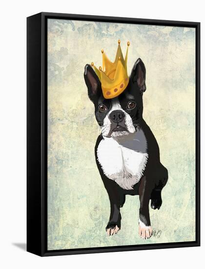 Boston Terrier and Crown-Fab Funky-Framed Stretched Canvas