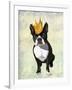 Boston Terrier and Crown-Fab Funky-Framed Art Print