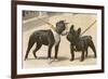 Boston Terrier and French Bulldog-null-Framed Photographic Print