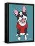 Boston Terrier Black-Tomoyo Pitcher-Framed Stretched Canvas