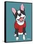 Boston Terrier Black-Tomoyo Pitcher-Framed Stretched Canvas