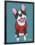 Boston Terrier Black-Tomoyo Pitcher-Framed Premium Giclee Print