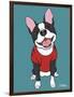 Boston Terrier Black-Tomoyo Pitcher-Framed Giclee Print