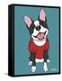 Boston Terrier Black-Tomoyo Pitcher-Framed Stretched Canvas